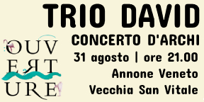 TRIO DAVID - Concerto d'archi