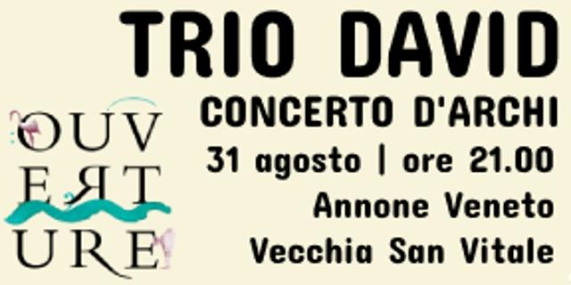 TRIO DAVID - Concerto d'archi
