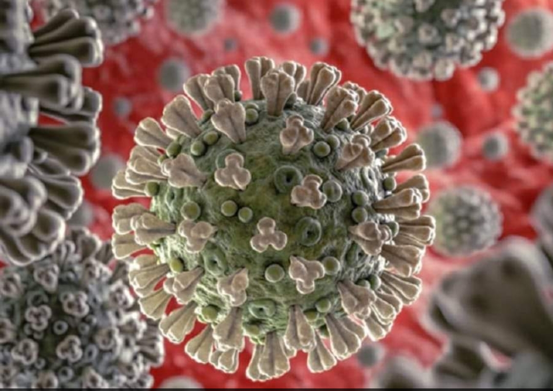Annone veneto  vaccinazioni